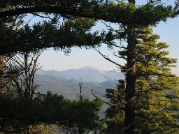 Baldy from Tooth Ridge